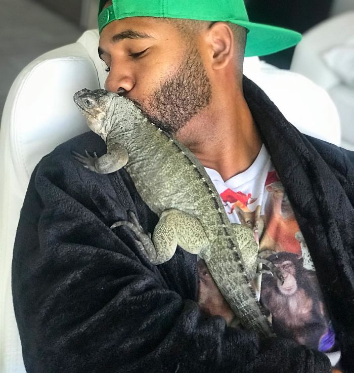 This Exotic Animal Specialist Is The Real-Life Tarzan