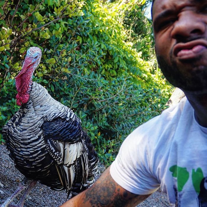 This Exotic Animal Specialist Is The Real-Life Tarzan