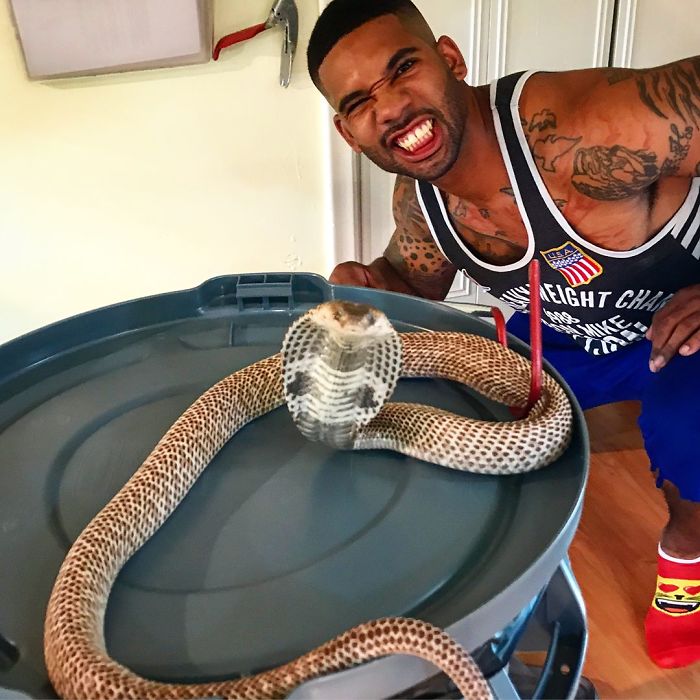 This Exotic Animal Specialist Is The Real-Life Tarzan