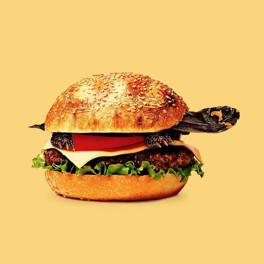 This Artist Combines Unexpected Objects Into Mind-Boggling Images This Artist Combines Unexpected Objects Into Mind-Boggling Images