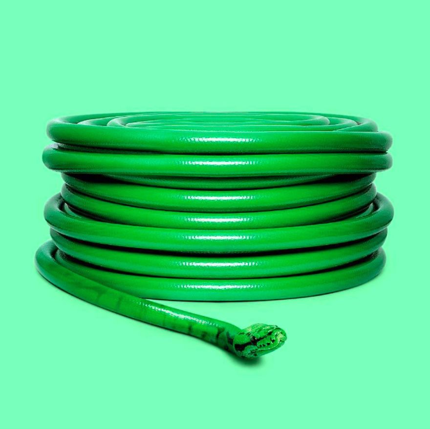 This Artist Combines Unexpected Objects Into Mind-Boggling Images This Artist Combines Unexpected Objects Into Mind-Boggling Images