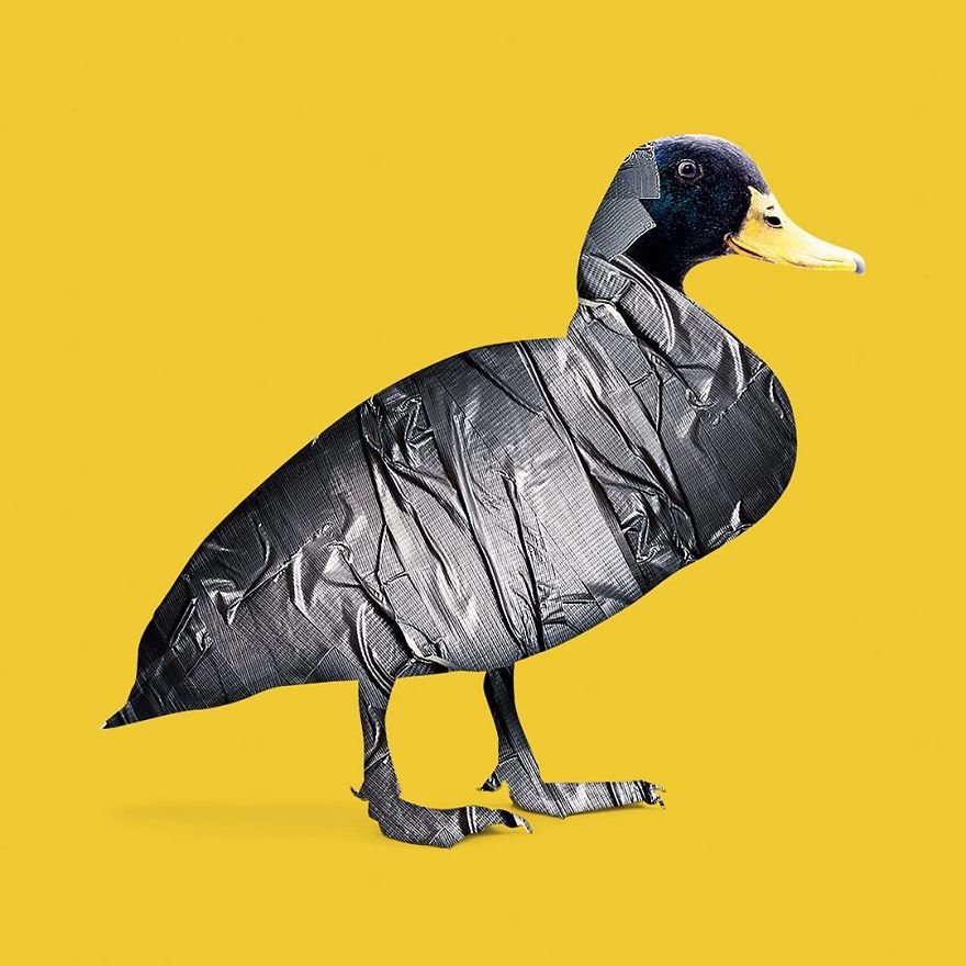 This Artist Combines Unexpected Objects Into Mind-Boggling Images This Artist Combines Unexpected Objects Into Mind-Boggling Images