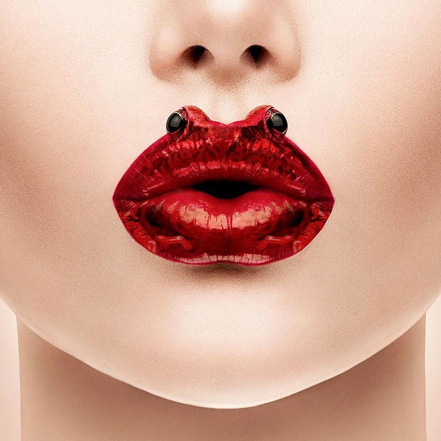 This Artist Combines Unexpected Objects Into Mind-Boggling Images This Artist Combines Unexpected Objects Into Mind-Boggling Images