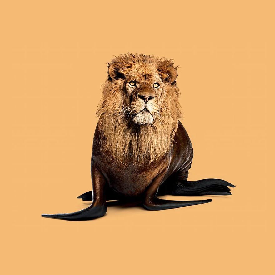 This Artist Combines Unexpected Objects Into Mind-Boggling Images This Artist Combines Unexpected Objects Into Mind-Boggling Images