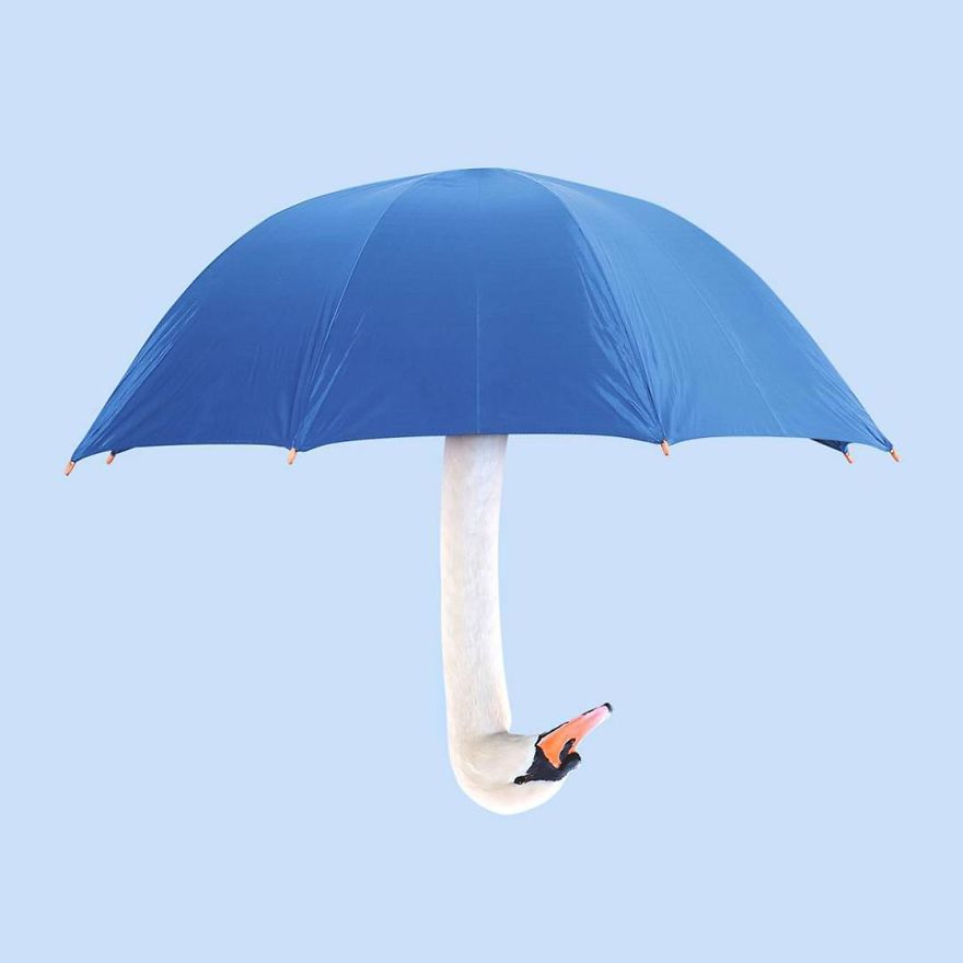 This Artist Combines Unexpected Objects Into Mind-Boggling Images This Artist Combines Unexpected Objects Into Mind-Boggling Images