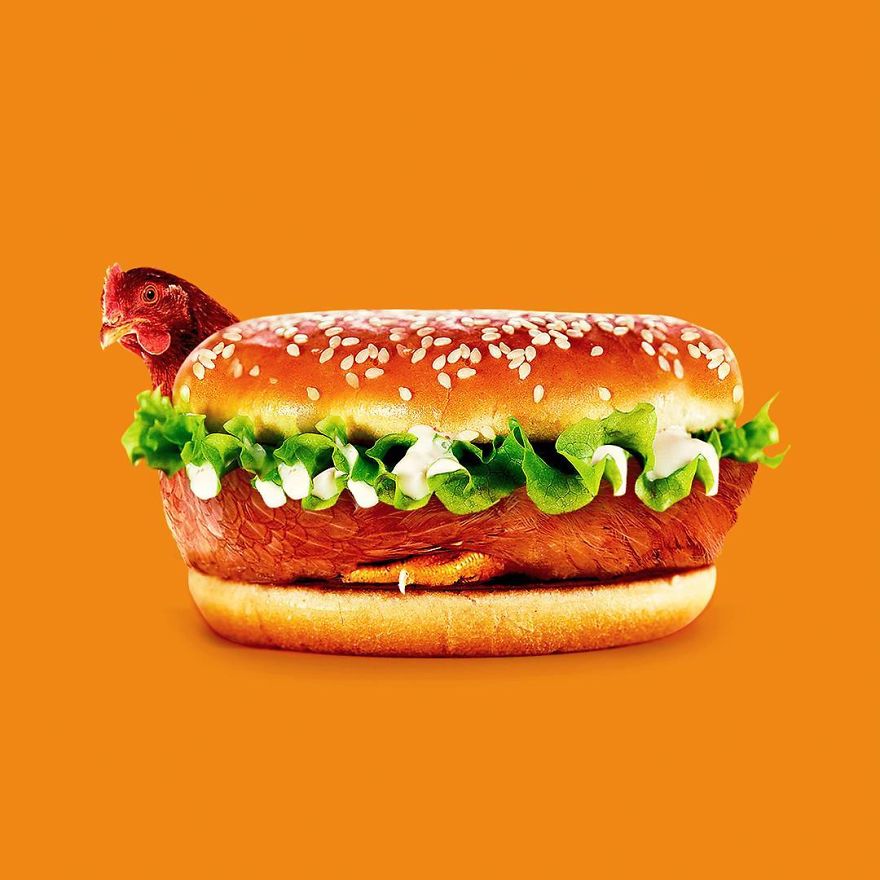 This Artist Combines Unexpected Objects Into Mind-Boggling Images This Artist Combines Unexpected Objects Into Mind-Boggling Images