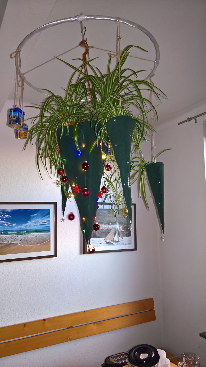 Pandas, Post Your Creative Christmas Trees Here!