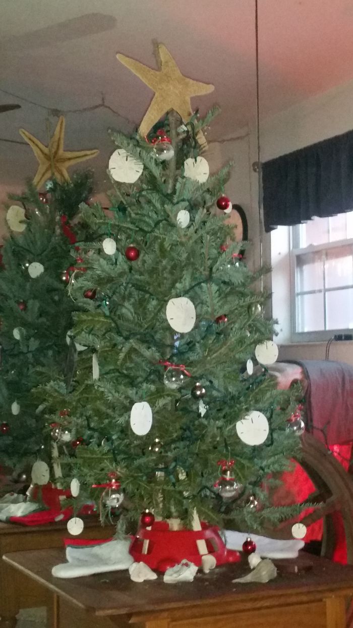 Pandas, Post Your Creative Christmas Trees Here!