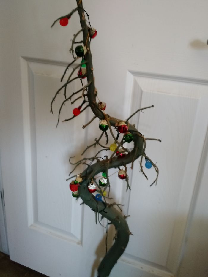 Pandas, Post Your Creative Christmas Trees Here!