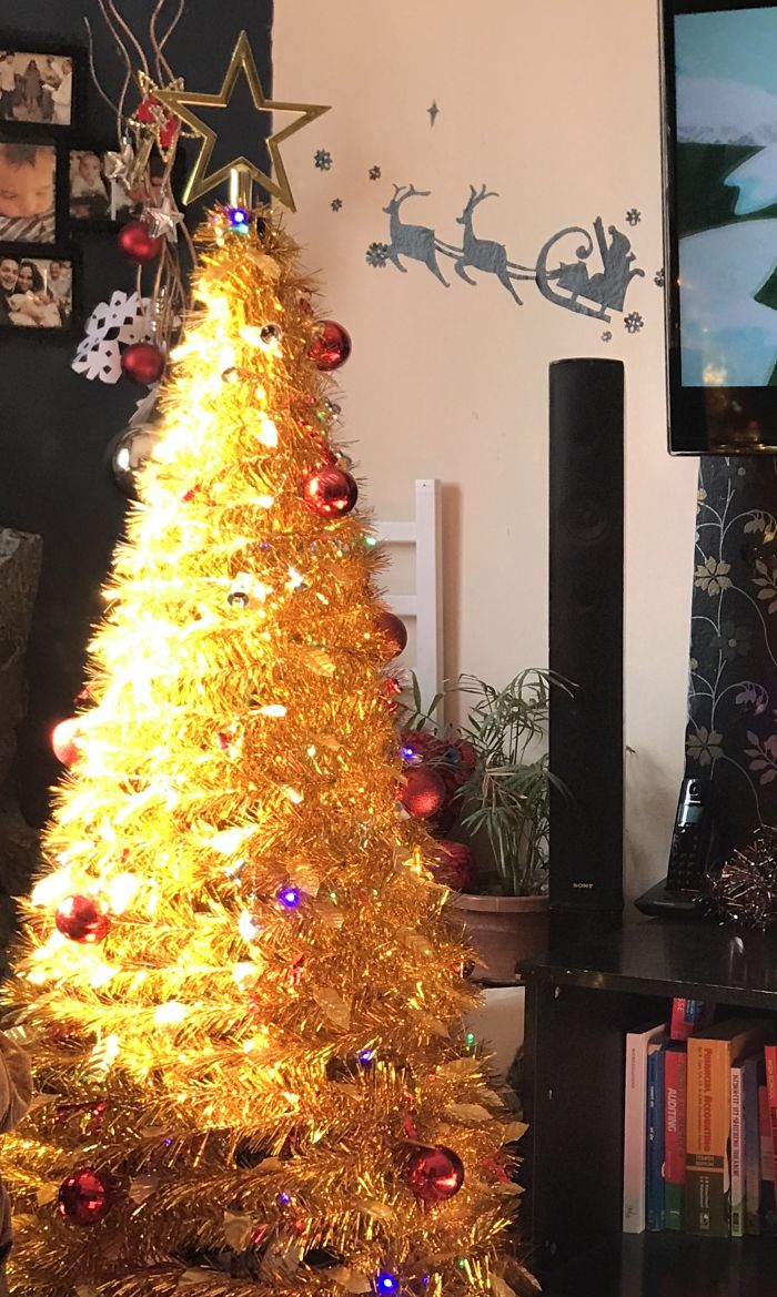 Pandas, Post Your Creative Christmas Trees Here!