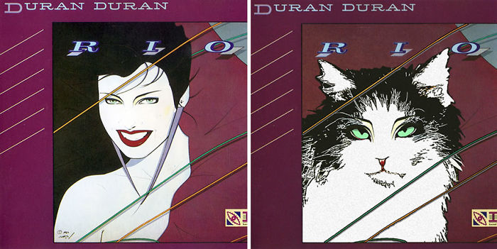 Someone Is Replacing Musicians With Cats In Famous Album Covers, And Result Is Better Than Original Someone Is Replacing Musicians With Cats In Famous Album Covers, And Result Is Better Than Original