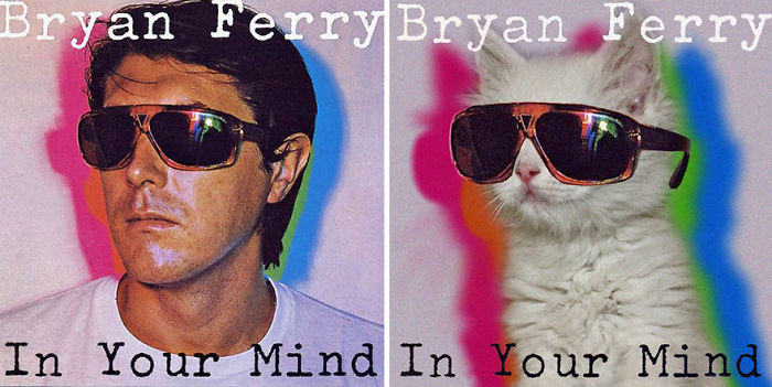 Someone Is Replacing Musicians With Cats In Famous Album Covers, And Result Is Better Than Original Someone Is Replacing Musicians With Cats In Famous Album Covers, And Result Is Better Than Original
