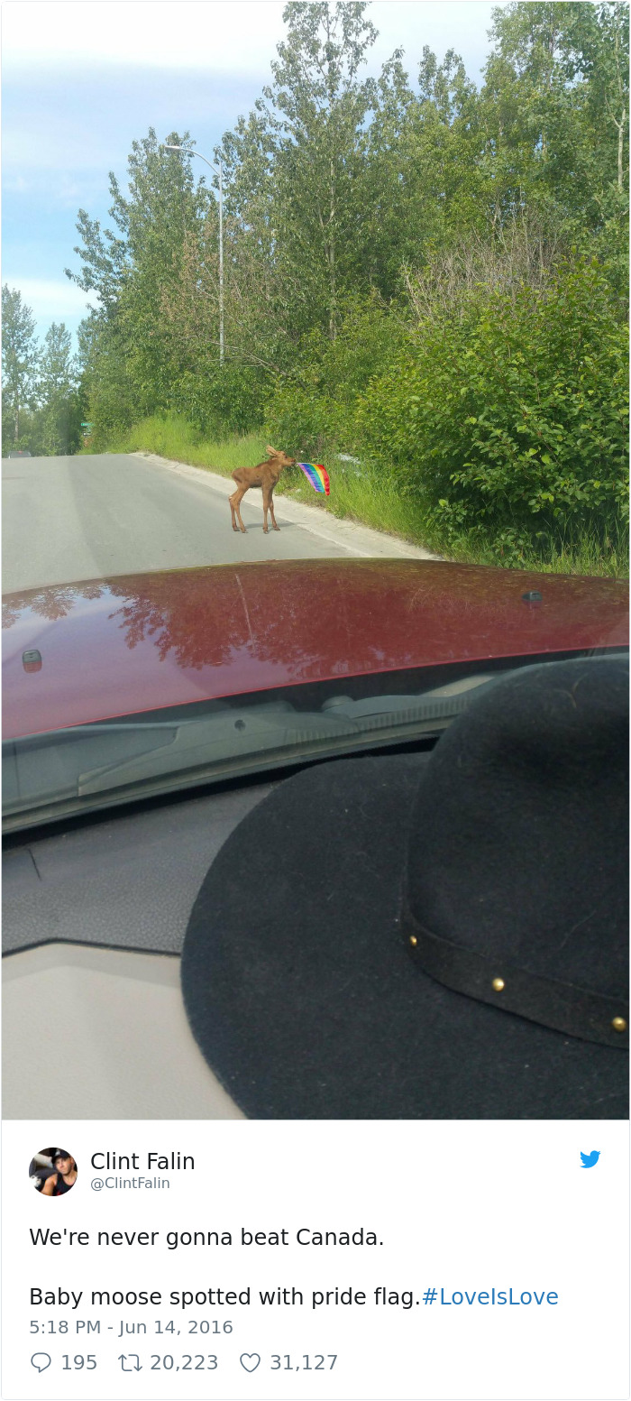 100 Times Canadians Were A Complete Mystery To The Rest Of The World 100 Times Canadians Were A Complete Mystery To The Rest Of The World