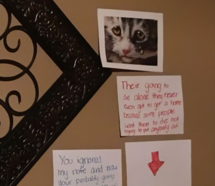 Daughter Tries To Guilt-Trip Her Dad Into Getting Her A Kitty, Gets The Best Response Daughter Tries To Guilt-Trip Her Dad Into Getting Her A Kitty, Gets The Best Response
