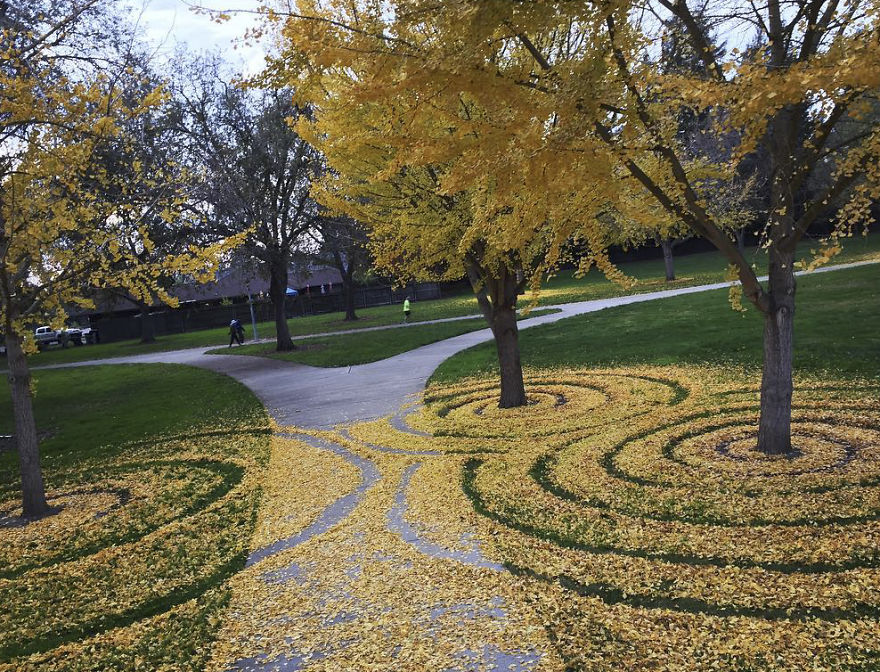 Every Year This University Employee Rakes Leaves Into Stunning Works Of Art And Leaves It For Students To Find Every Year This University Employee Rakes Leaves Into Stunning Works Of Art And Leaves It For Students To Find