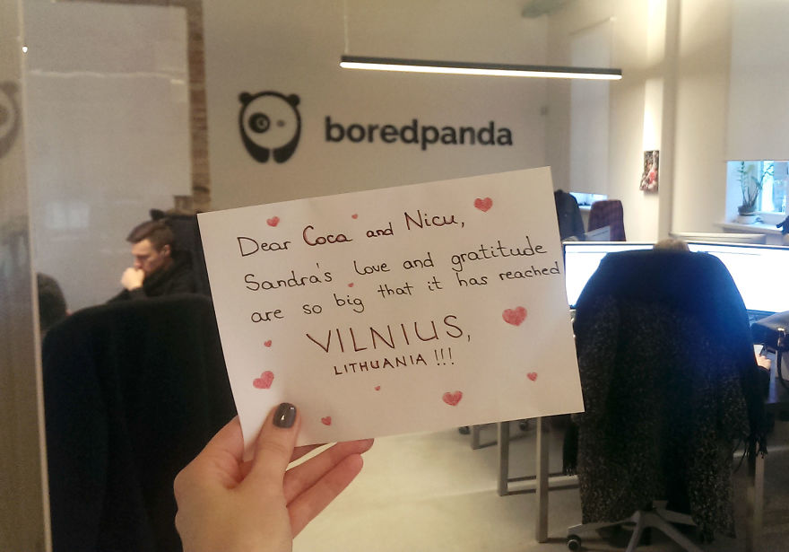 Pandas, Please Help Me Surprise My Hardworking Parents With Notes From All Over The World!