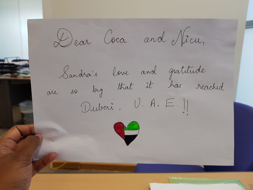 Pandas, Please Help Me Surprise My Hardworking Parents With Notes From All Over The World!