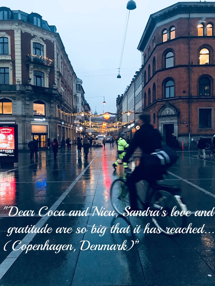 Pandas, Please Help Me Surprise My Hardworking Parents With Notes From All Over The World!