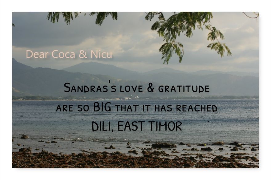 Pandas, Please Help Me Surprise My Hardworking Parents With Notes From All Over The World!