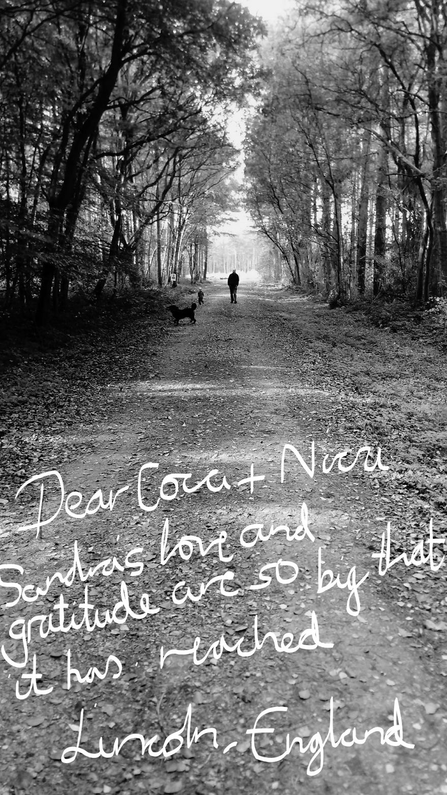 Pandas, Please Help Me Surprise My Hardworking Parents With Notes From All Over The World!