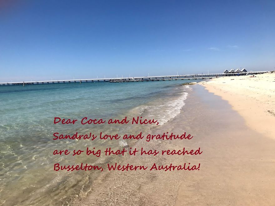 Pandas, Please Help Me Surprise My Hardworking Parents With Notes From All Over The World!