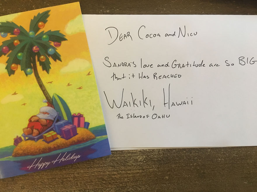 Pandas, Please Help Me Surprise My Hardworking Parents With Notes From All Over The World!