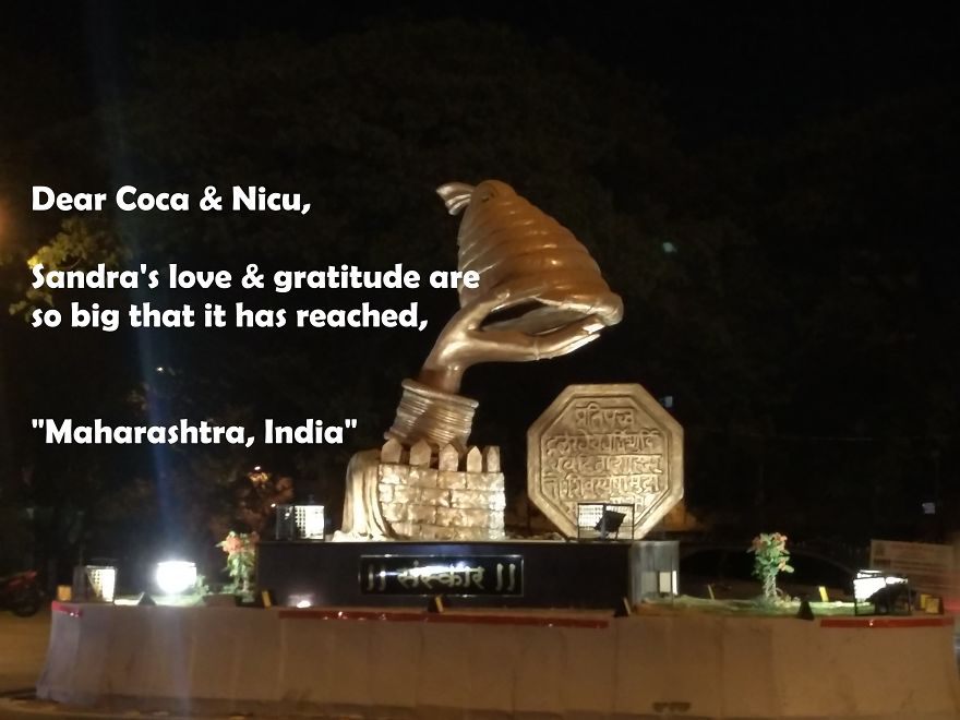 Pandas, Please Help Me Surprise My Hardworking Parents With Notes From All Over The World!