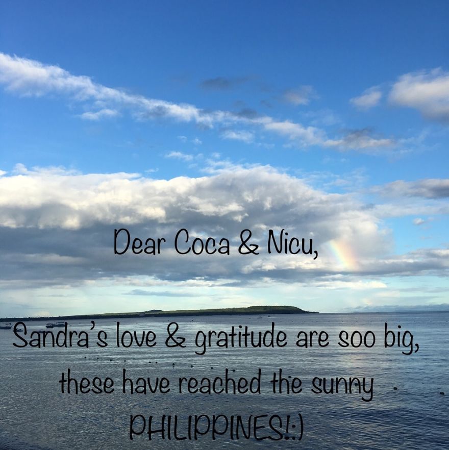 Pandas, Please Help Me Surprise My Hardworking Parents With Notes From All Over The World!