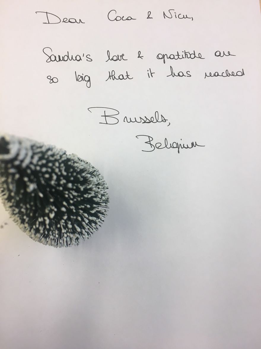 Pandas, Please Help Me Surprise My Hardworking Parents With Notes From All Over The World!