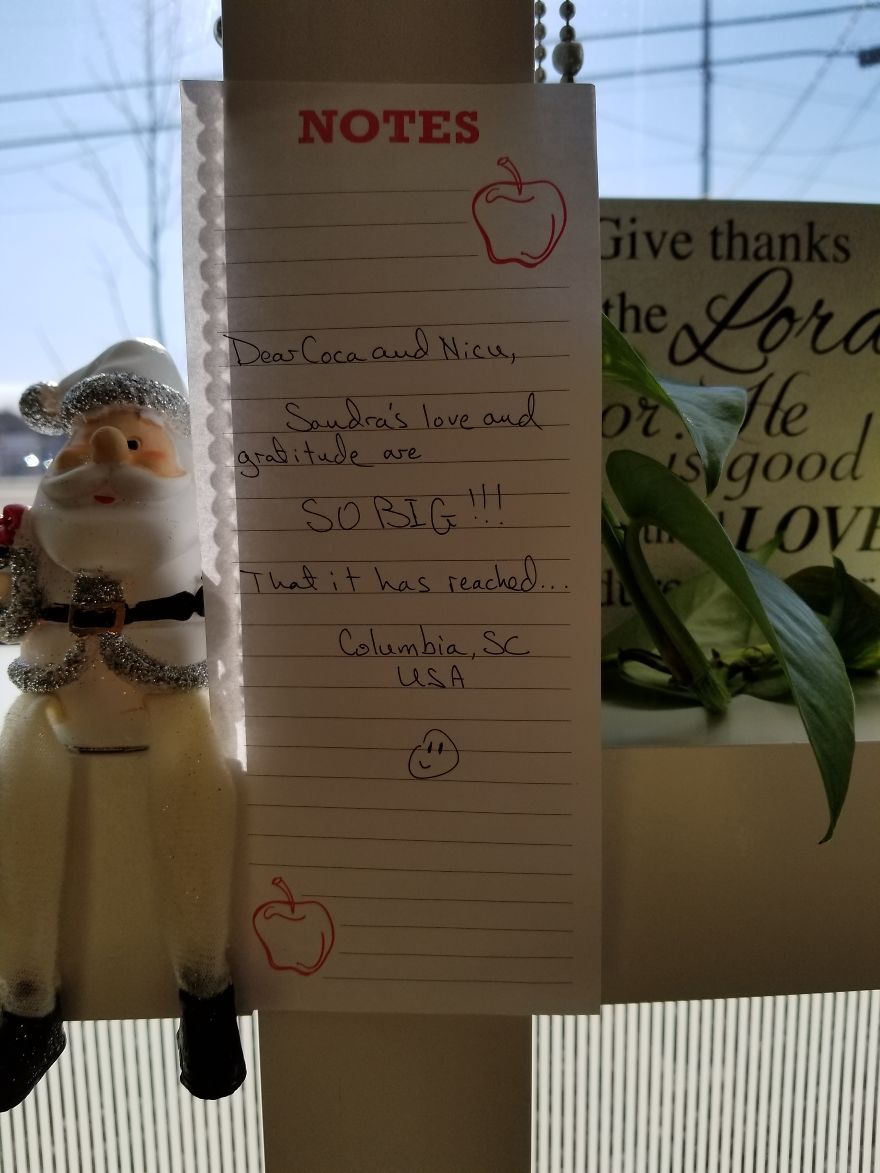 Pandas, Please Help Me Surprise My Hardworking Parents With Notes From All Over The World!