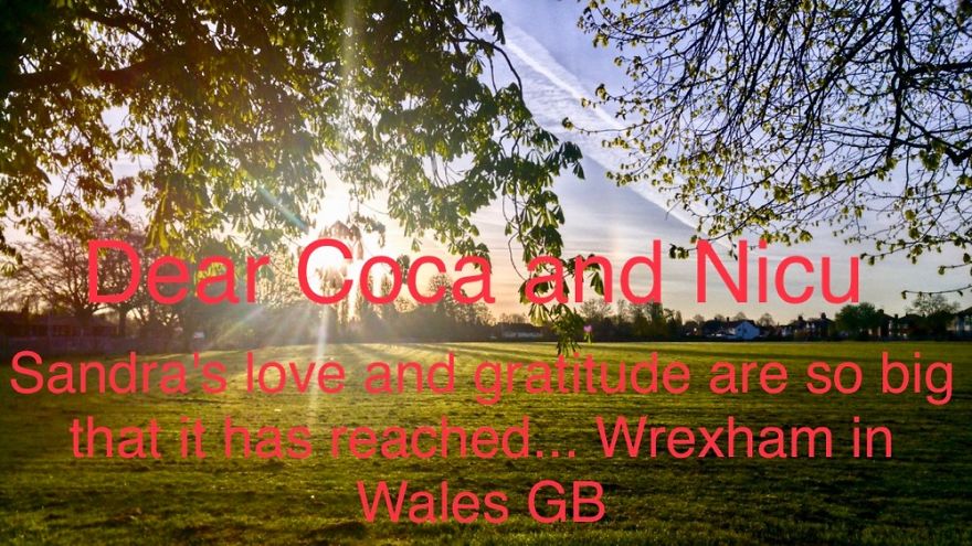 Pandas, Please Help Me Surprise My Hardworking Parents With Notes From All Over The World!