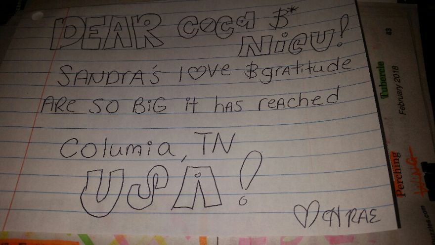 Pandas, Please Help Me Surprise My Hardworking Parents With Notes From All Over The World!