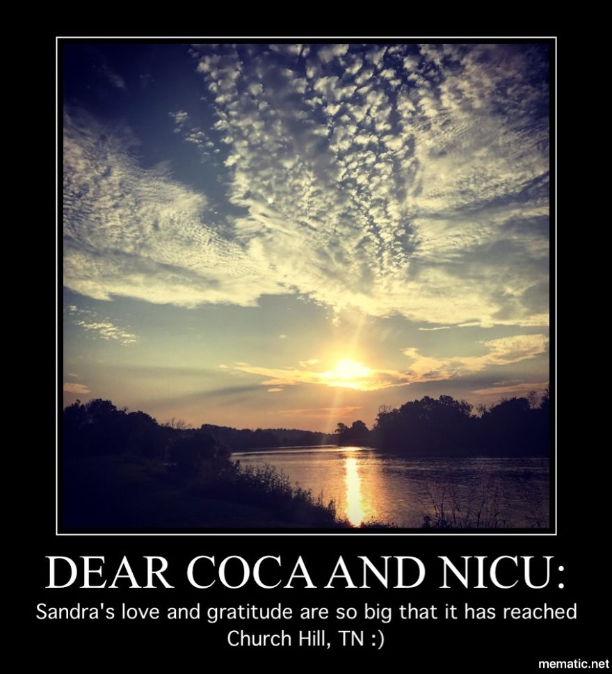 Pandas, Please Help Me Surprise My Hardworking Parents With Notes From All Over The World!