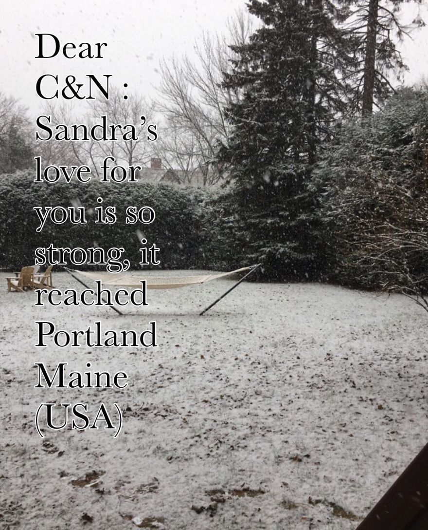 Pandas, Please Help Me Surprise My Hardworking Parents With Notes From All Over The World!