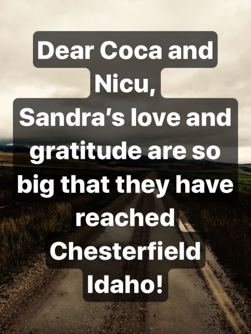 Pandas, Please Help Me Surprise My Hardworking Parents With Notes From All Over The World!