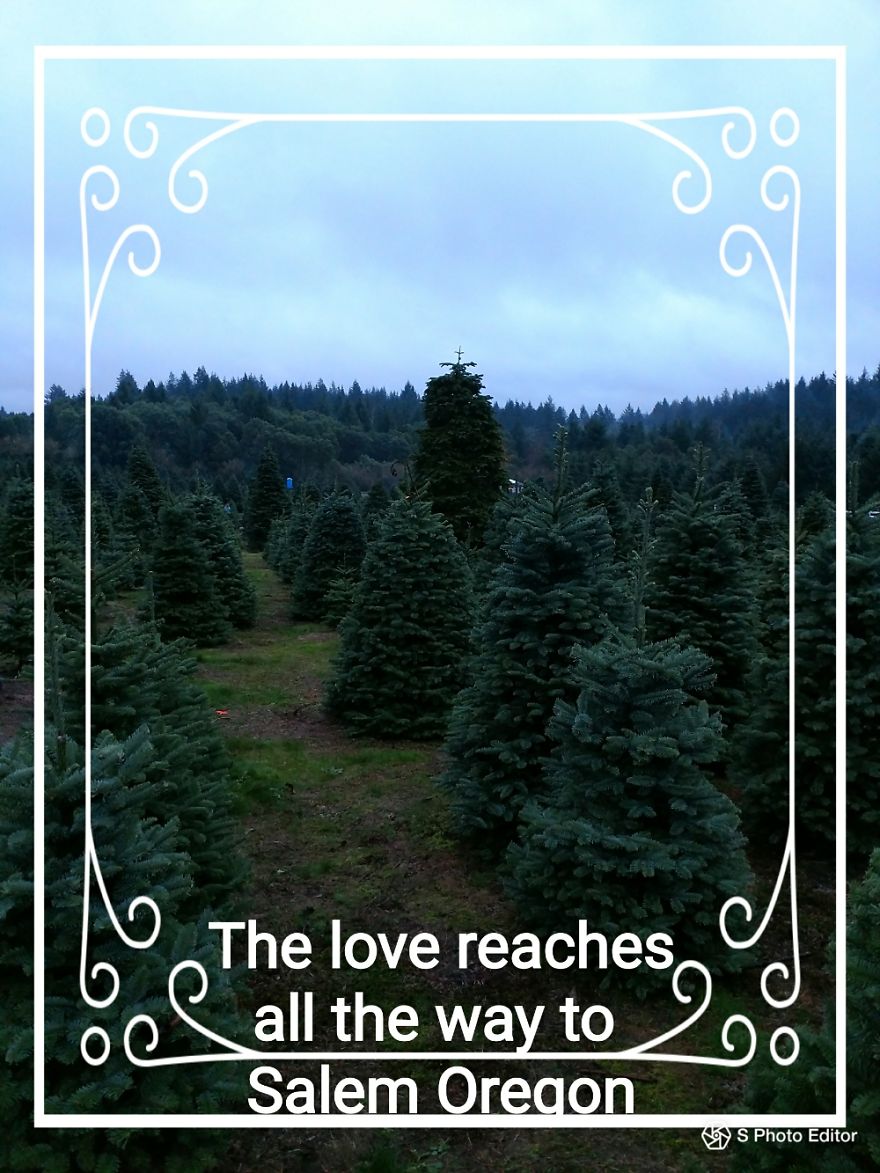 Pandas, Please Help Me Surprise My Hardworking Parents With Notes From All Over The World!