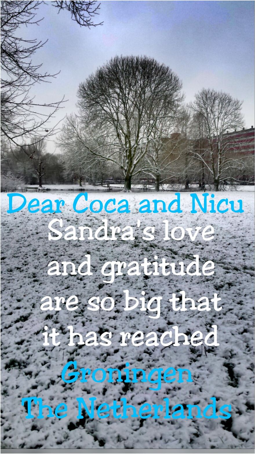 Pandas, Please Help Me Surprise My Hardworking Parents With Notes From All Over The World!