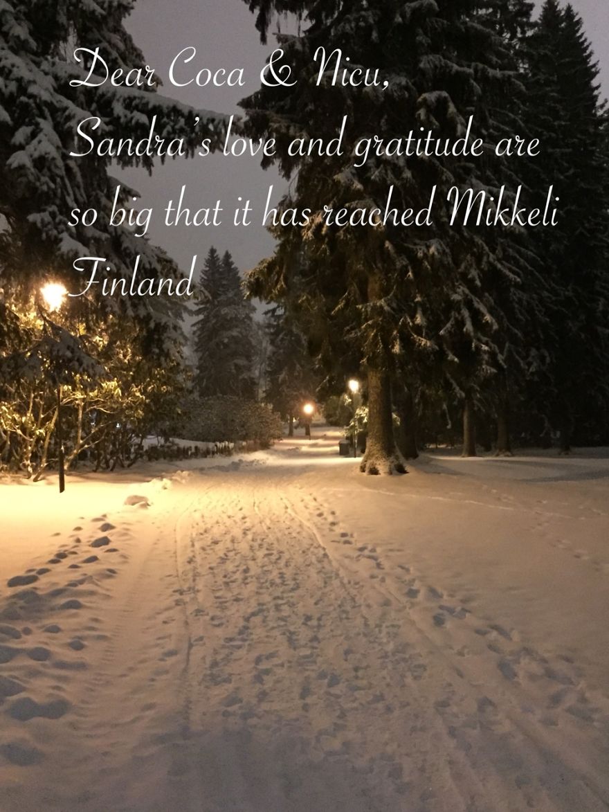 Pandas, Please Help Me Surprise My Hardworking Parents With Notes From All Over The World!