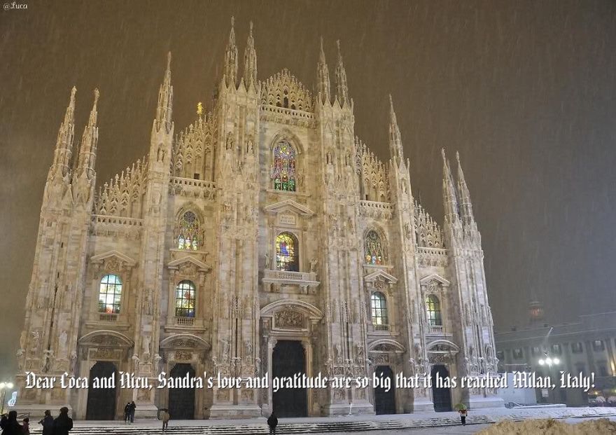 Pandas, Please Help Me Surprise My Hardworking Parents With Notes From All Over The World!