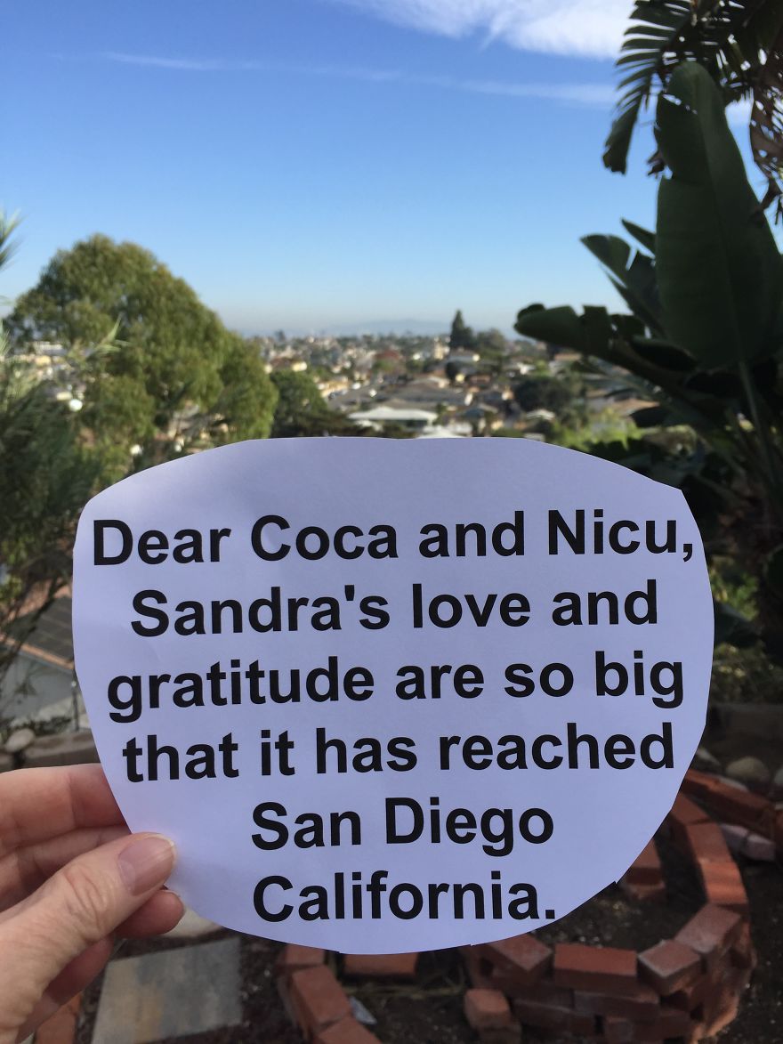 Pandas, Please Help Me Surprise My Hardworking Parents With Notes From All Over The World!