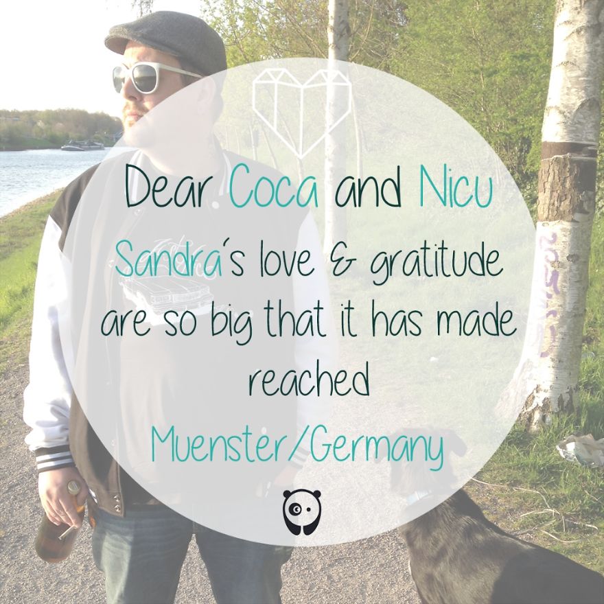 Pandas, Please Help Me Surprise My Hardworking Parents With Notes From All Over The World!