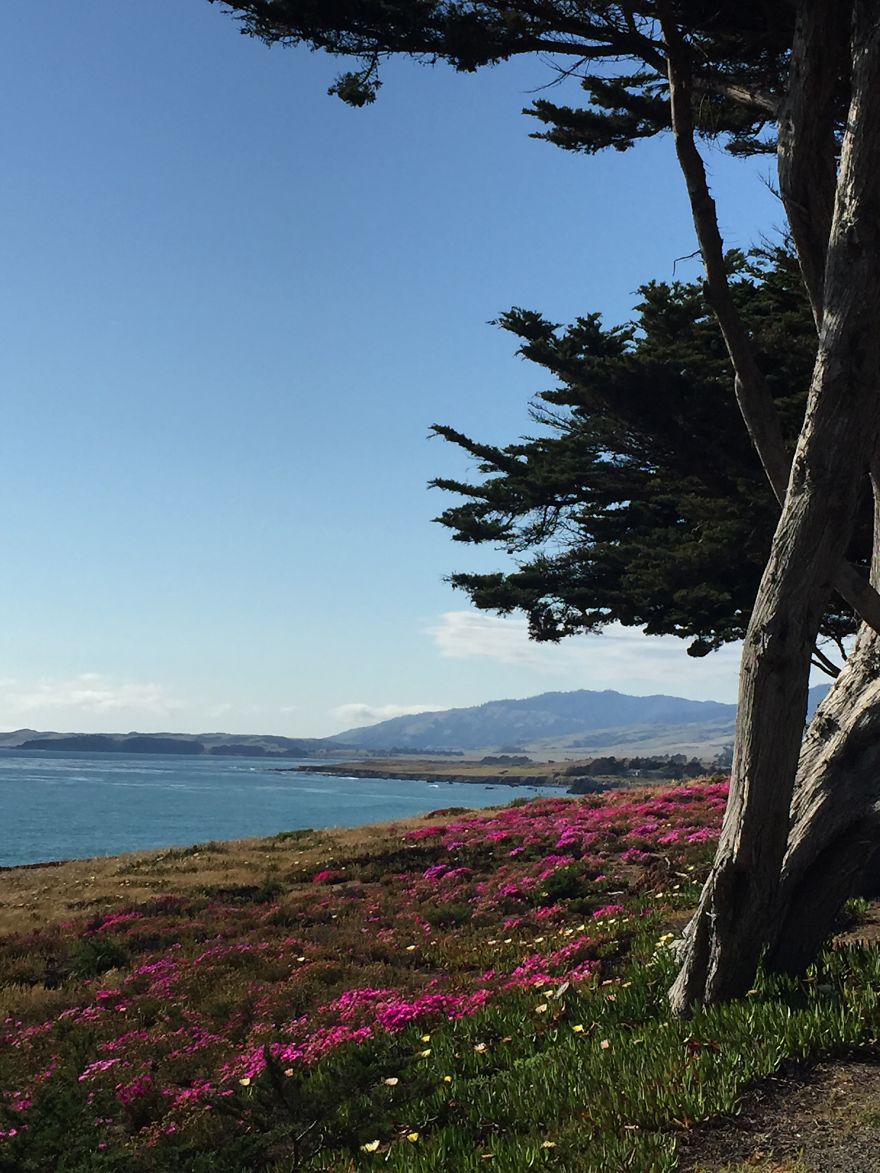 Pandas, Please Help Me Surprise My Hardworking Parents With Notes From All Over The World!