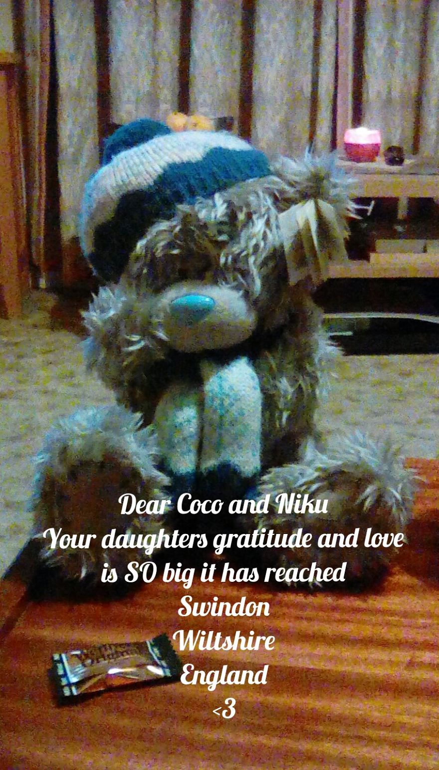 Pandas, Please Help Me Surprise My Hardworking Parents With Notes From All Over The World!