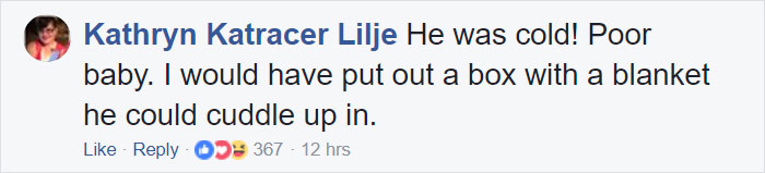 Woman Finds Fox Sleeping In Her Cat’s Bed, Gets Surprised By The Way It Acts