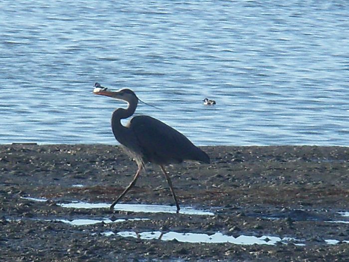 Share Your Most Unbelievable “Pics Or It Didn’t Happen” Moment That You Actually Captured On Camera Share Your Most Unbelievable “Pics Or It Didn’t Happen” Moment That You Actually Captured On Camera