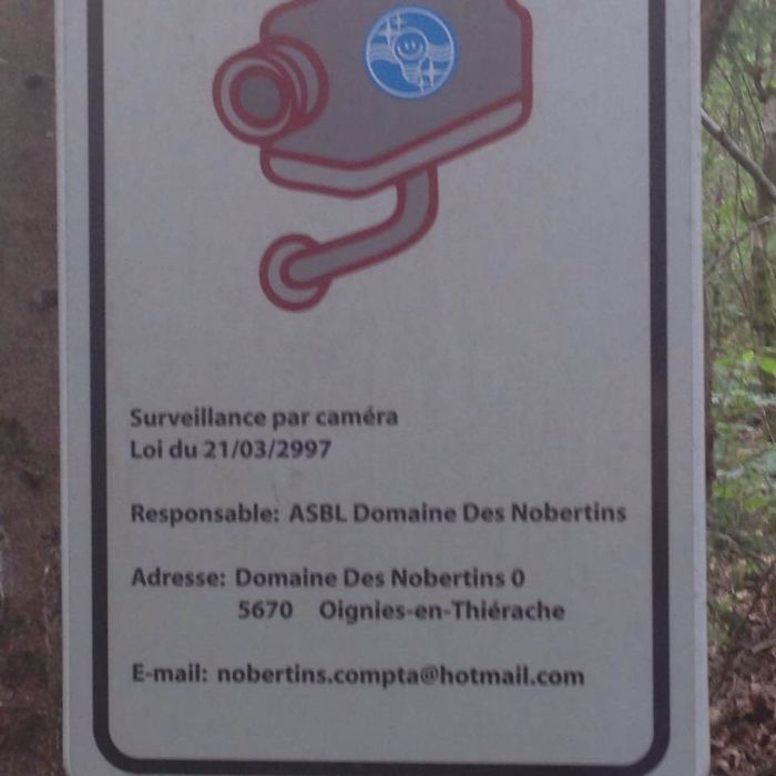 Share Your Most Unbelievable “Pics Or It Didn’t Happen” Moment That You Actually Captured On Camera Share Your Most Unbelievable “Pics Or It Didn’t Happen” Moment That You Actually Captured On Camera