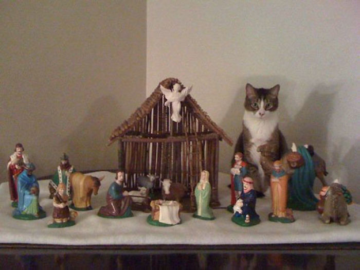 40 Times Cats Hilariously Crashed Nativity Scenes 40 Times Cats Hilariously Crashed Nativity Scenes