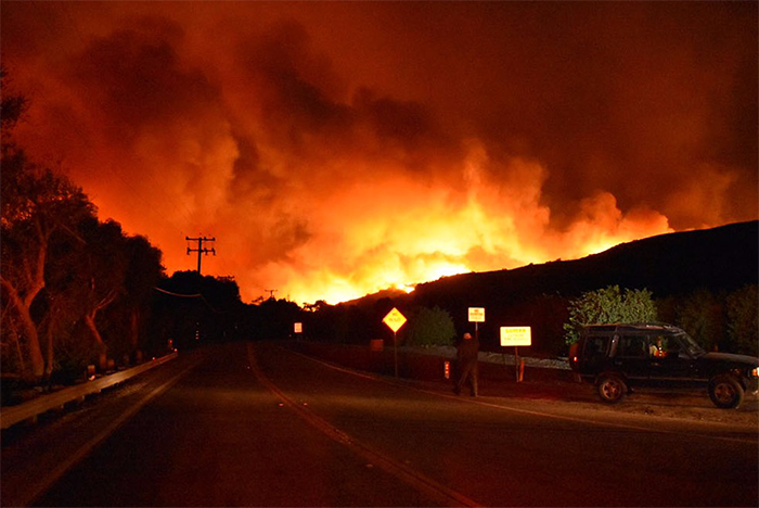 Watch This Anonymous Hero Saving A Bunny From Wildfire And Then Just Vanishing Into The Dark Watch This Anonymous Hero Saving A Bunny From Wildfire And Then Just Vanishing Into The Dark