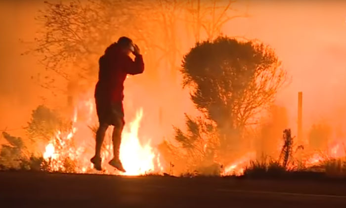 Watch This Anonymous Hero Saving A Bunny From Wildfire And Then Just Vanishing Into The Dark Watch This Anonymous Hero Saving A Bunny From Wildfire And Then Just Vanishing Into The Dark