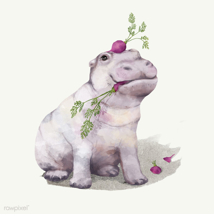 I Created Digital Drawings Of Adorable Animals And Made The Collection Free For One Week I Created Digital Drawings Of Adorable Animals And Made The Collection Free For One Week